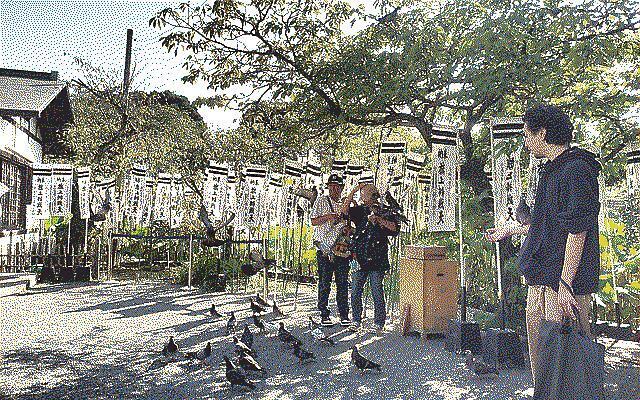 Kamakura temple grounds