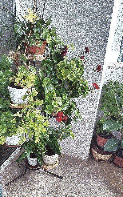 Dithered close-up of plants in Stara Zagora