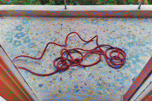 A red cable curled across blue concrete, by Douglas Eveleigh