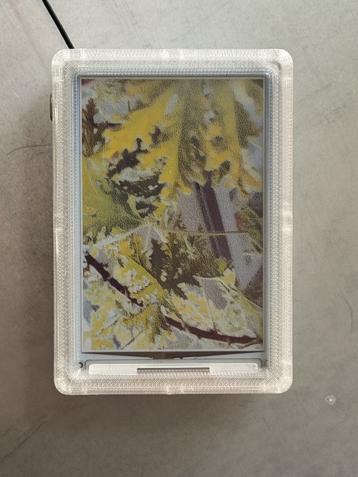 reFrame displaying yellow leaves, by Marco Galloway