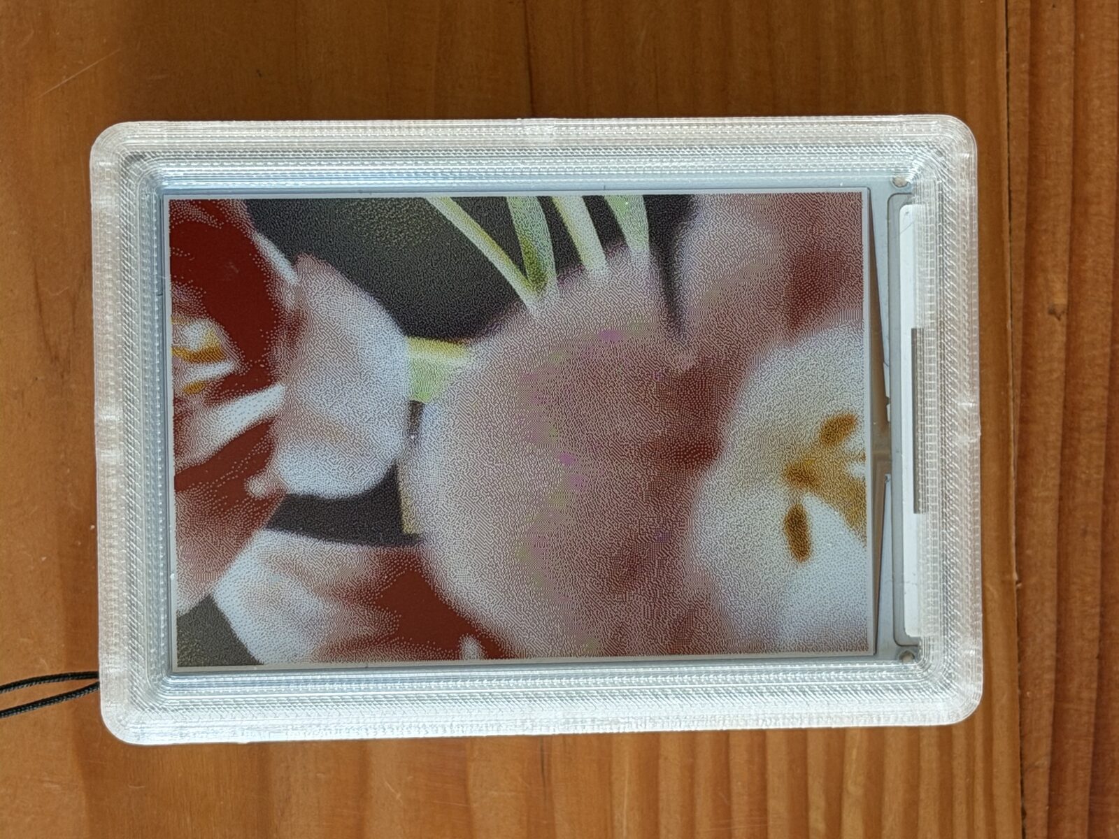 A floral image displayed on reFrame, rotated sideways, by Marco Galloway