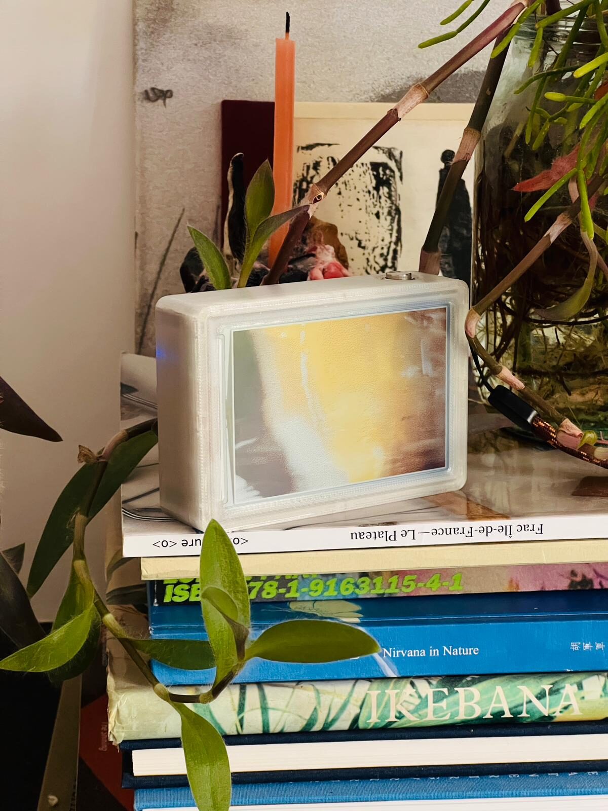 reFrame nestled among books and houseplants, by Olya Oleinic